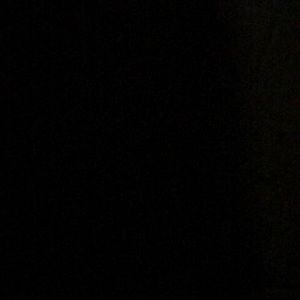 Meet your Posher, Gaint